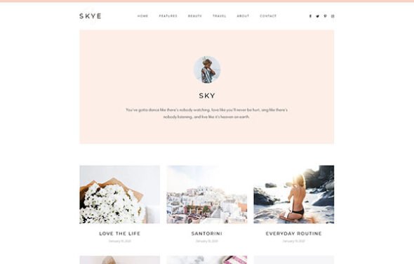 skye modern blog website elementor template kit free download