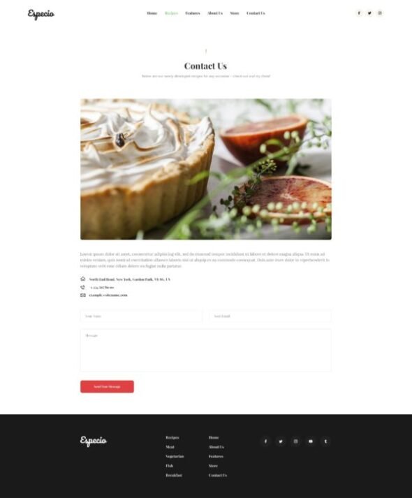 especio food blog elementor template kit