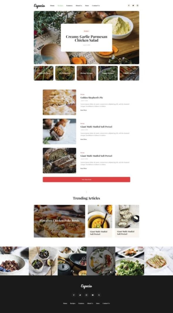 especio food blog elementor template kit