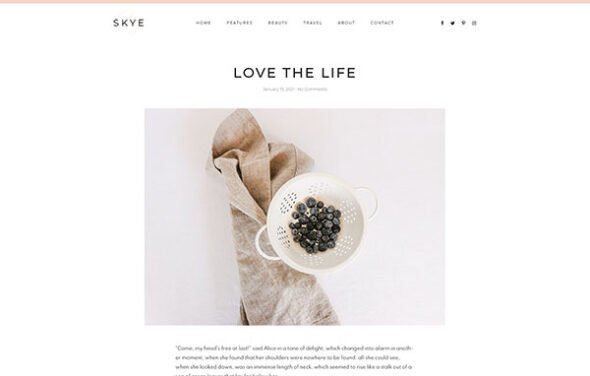 skye modern blog website elementor template kit free download