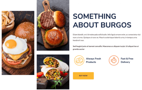 Burgos – Street Food Elementor Template Kit