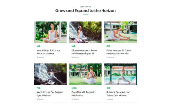 Auriga — Health Coach & Yoga Mentor Elementor Template Kit