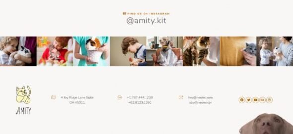 Amity Animal Hospital and Veterinarian Elementor Template Kit