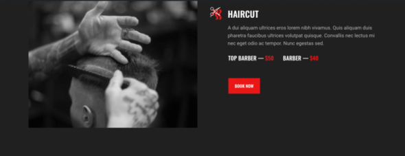 Barbercrop – Hairdressing Elementor Template Kit