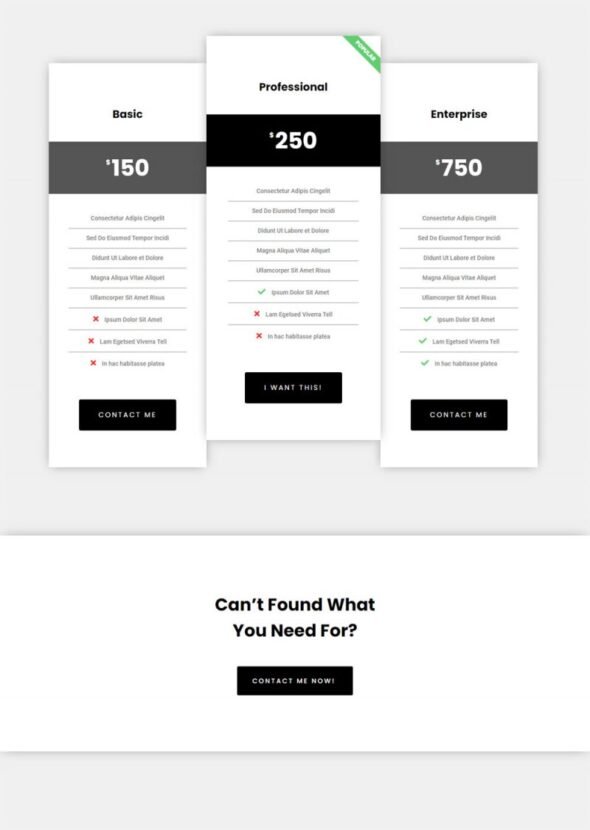 Nikicivi - Elegant CV/Resume & Portfolio Elementor Template Kit